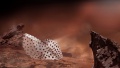 Mars Habitat Render V3.jpg